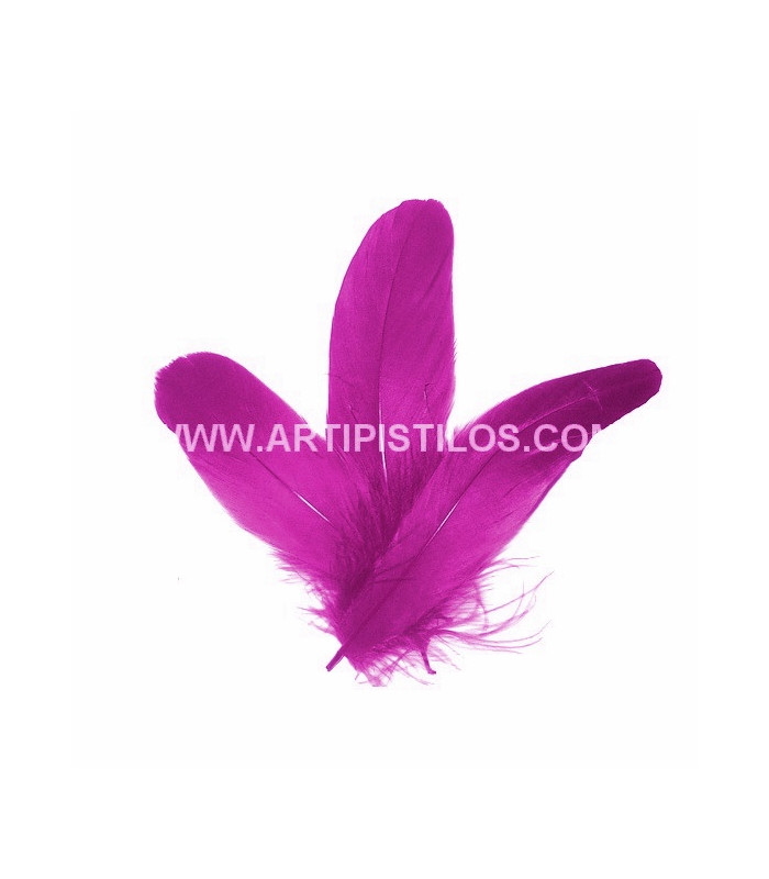PLUME DE CANARD 15 CMS.