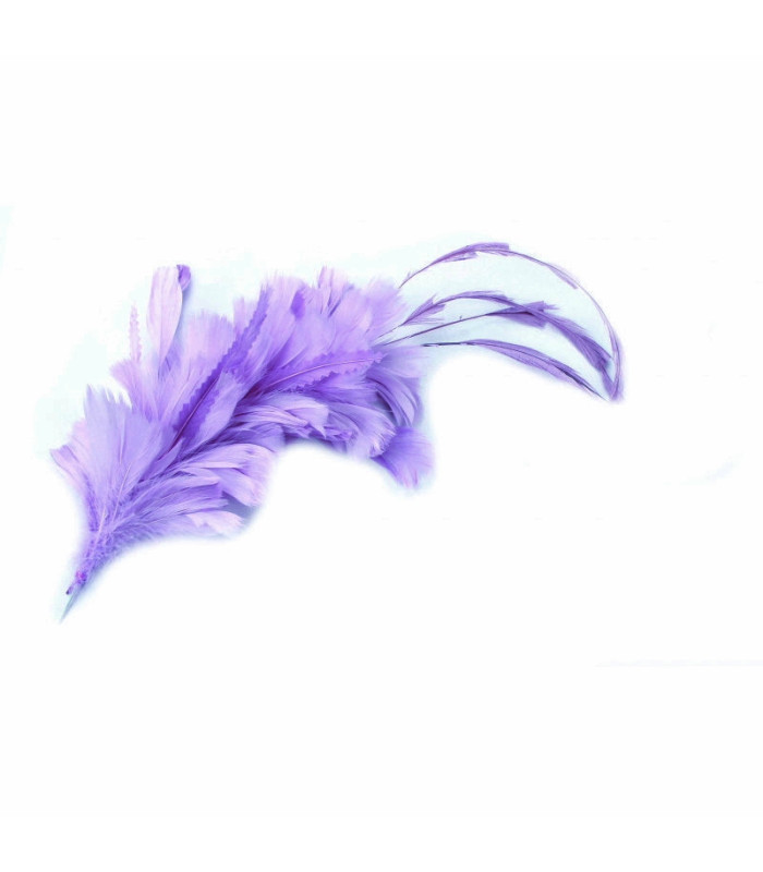 MONTAGE DE PLUMES COQ, CANARD ET OIE