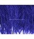 FRANGE PLUMES D´AUTRUCHE - 10 CMS.