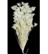 ASSEMBLAGE DE PLUMES DE COQ