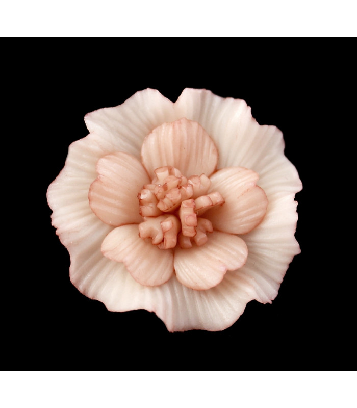 FLEUR DE PORCELAINE FROIDE 35mm