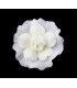 FLEUR DE PORCELAINE FROIDE 35mm