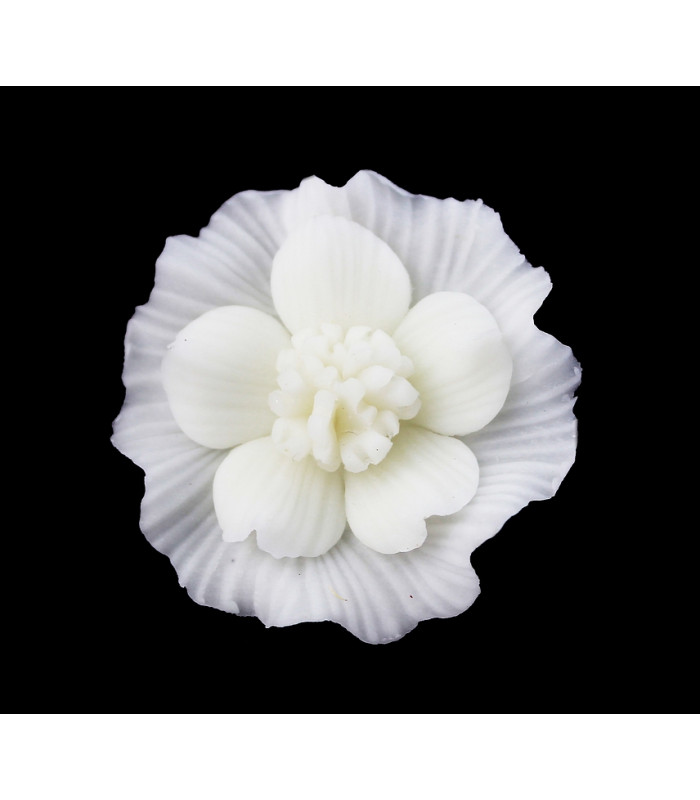 FLEUR DE PORCELAINE FROIDE 35mm