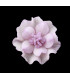 FLEUR DE PORCELAINE FROIDE 35mm