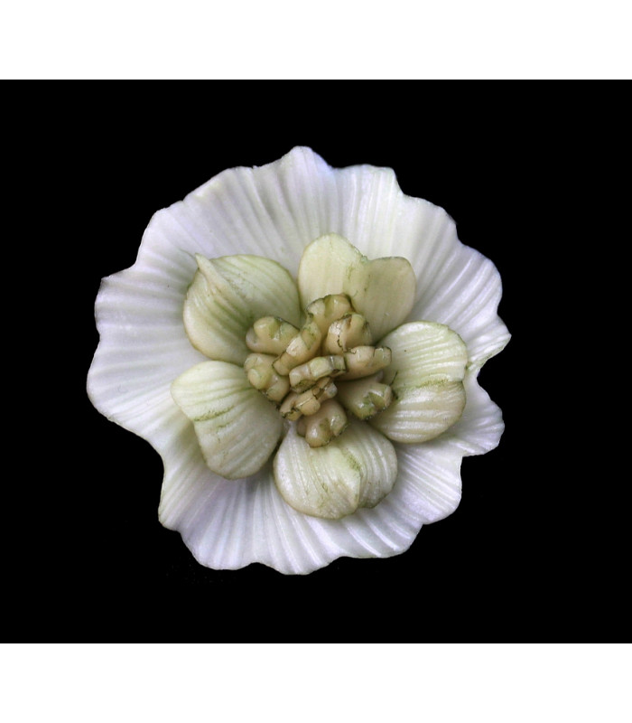 FLEUR DE PORCELAINE FROIDE 35mm