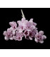 FLEUR DE PORCELAINE FROIDE 18mm