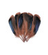 plumes de canard 13-15 cm X 20 plumes