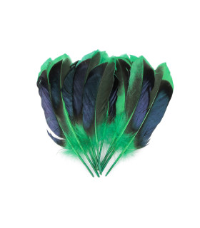 Plumes de canard 13-15 cm, sachet de 20
