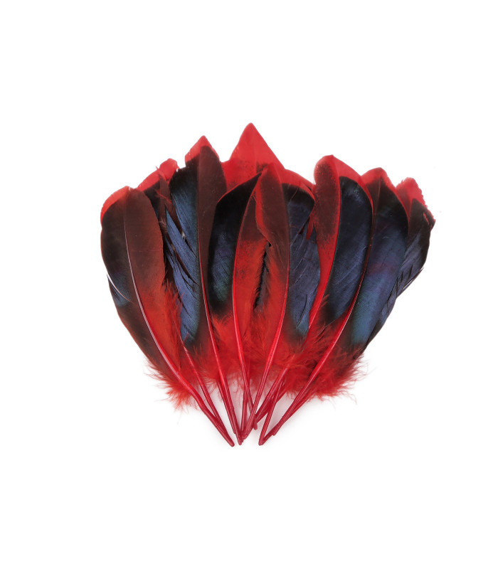 plumes de canard 13-15 cm X 20 plumes