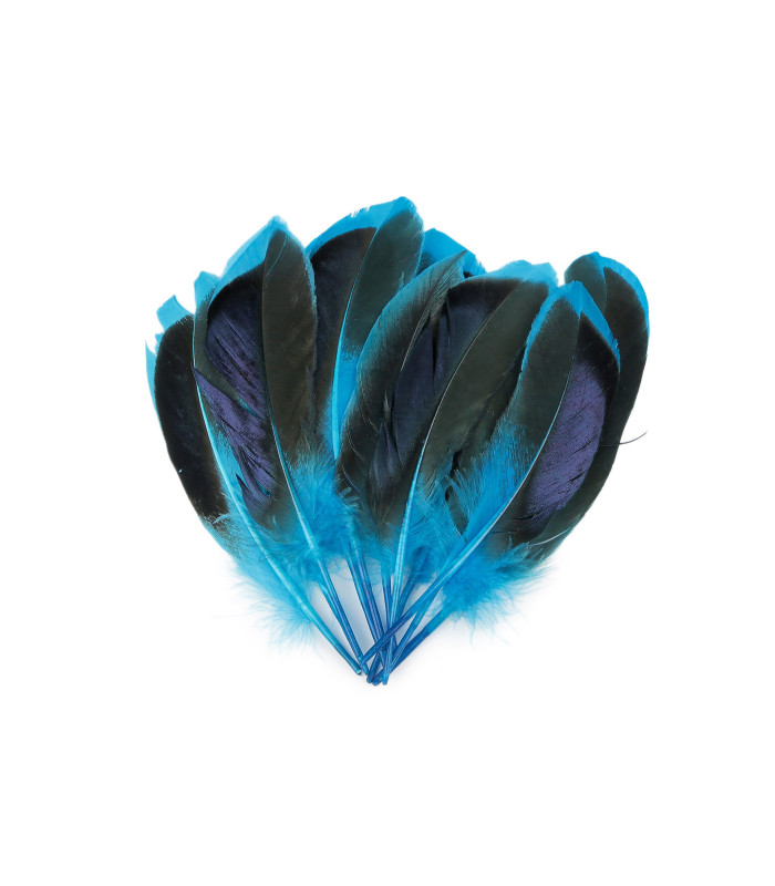 plumes de canard 13-15 cm X 20 plumes