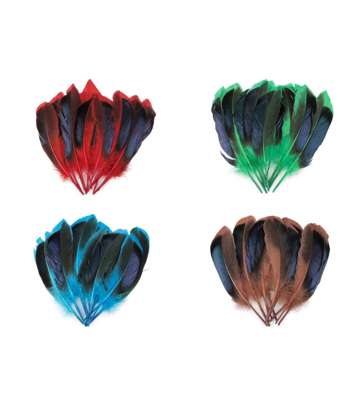 plumes de canard 13-15 cm X 20 plumes