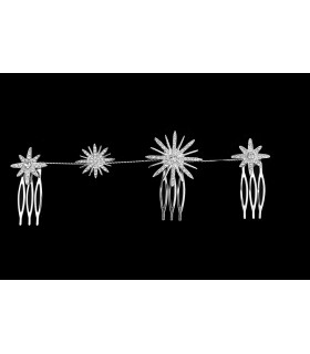 Application pour les Cheveux 4 étoiles