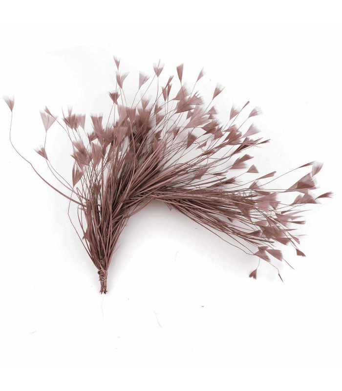 ASSEMBLAGE DE PLUMES DE COQ