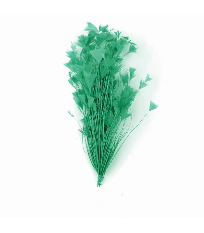 ASSEMBLAGE DE PLUMES DE COQ