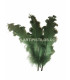 PLUME FRISÉE DE CANARD 15 CMS.