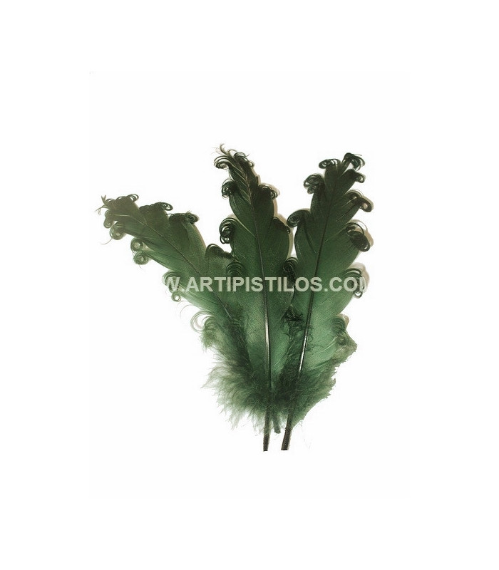PLUME FRISÉE DE CANARD 15 CMS.