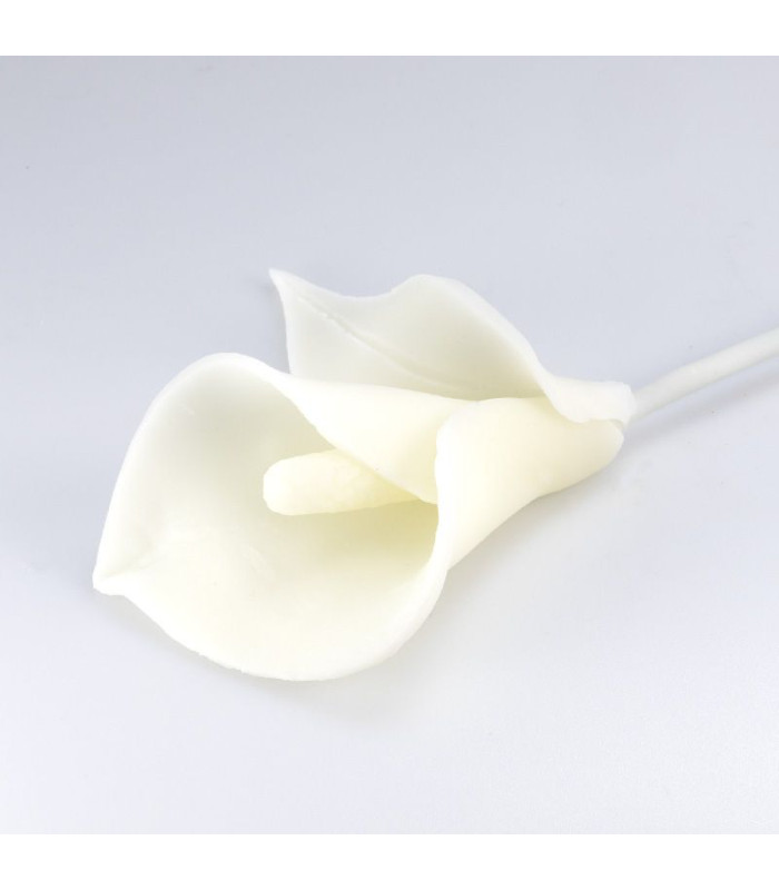 Porcelaine russe blanche 500 g (sèche à l'air)