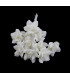 FLEUR EN PORCELAINE FROIDE 15mm
