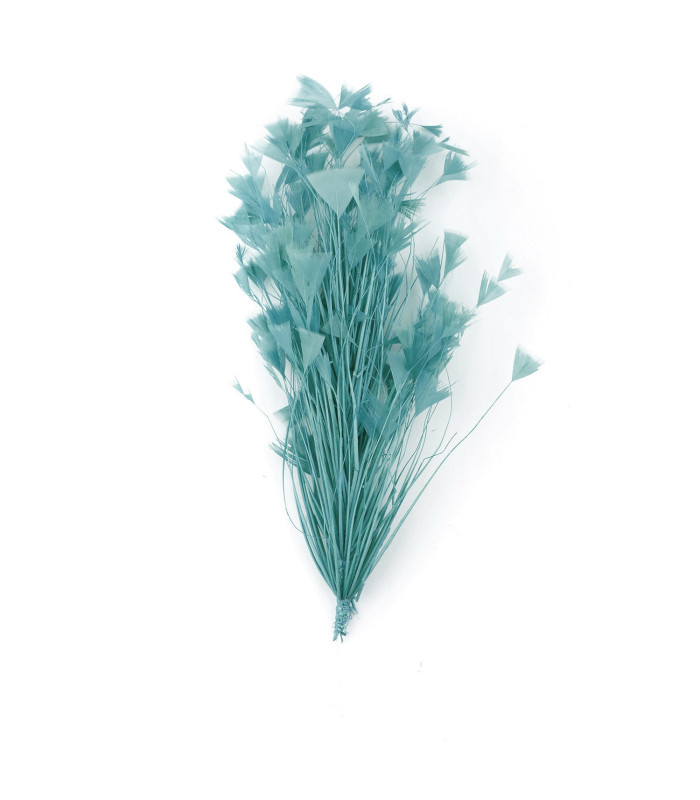 ASSEMBLAGE DE PLUMES DE COQ
