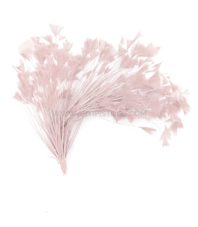 ASSEMBLAGE DE PLUMES DE COQ