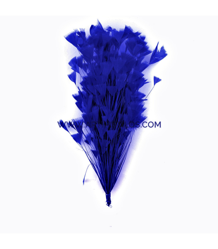 ASSEMBLAGE DE PLUMES DE COQ