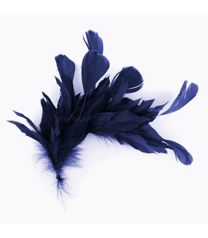 MONTAGE DE PLUMES DE CANARD ET ANTENNE COQ