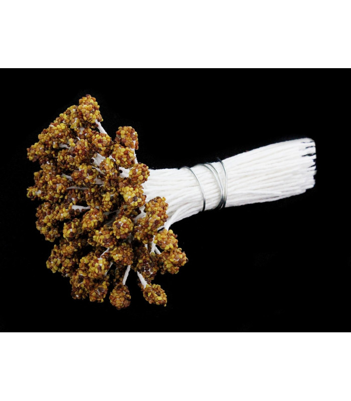 PISTIL 100% NATUREL FAIT DE GRAINES DE TRÈFLE