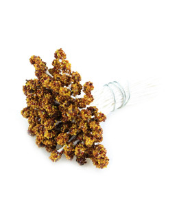 PISTIL 100% NATUREL FAIT DE GRAINES DE TRÈFLE