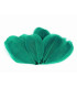 Plumes d'oie 5,5 - 7 cm x 10 pcs