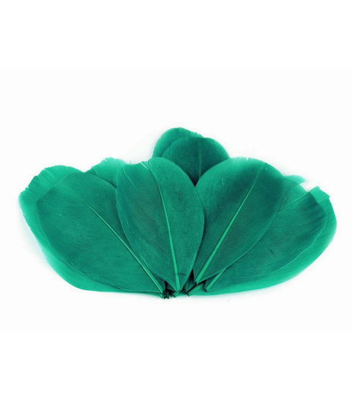 Plumes d'oie 5,5 - 7 cm x 10 pcs