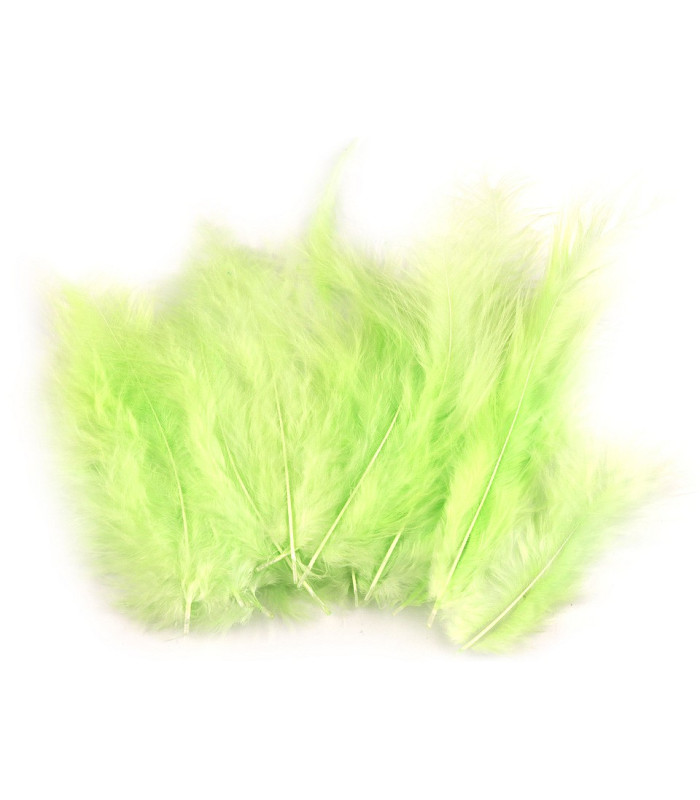 SAC PLUMES D´AUTRUCHE 12-17 CMS.