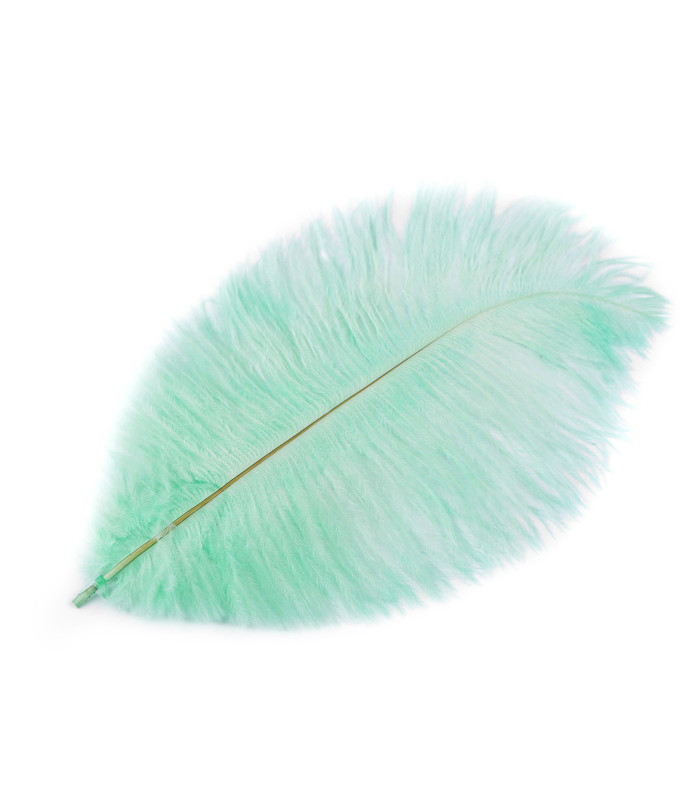 Plume d'autruche d'une longueur approximative de 20-25 cm