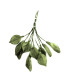 Feuille de porcelaine froide - 049