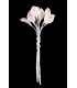 Feuille de porcelaine froide - 049
