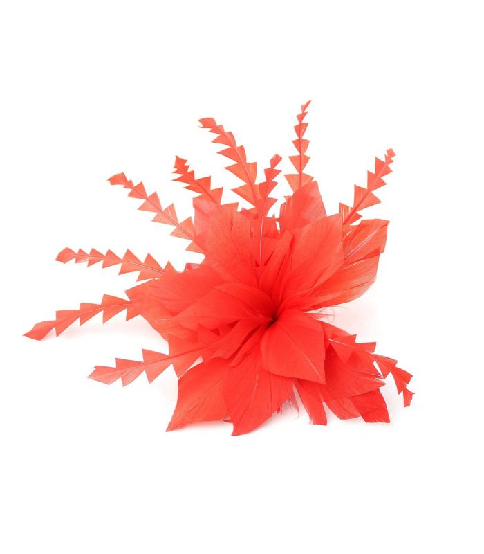 FLEUR DE PLUME DE CANARD