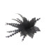 FLEUR DE PLUME DE CANARD