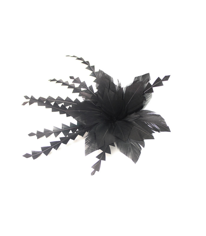 FLEUR DE PLUME DE CANARD