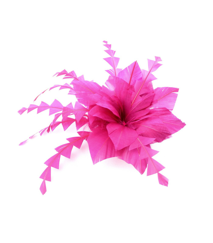 FLEUR DE PLUME DE CANARD