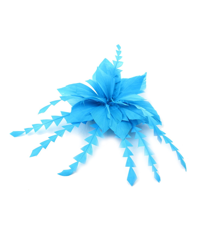 FLEUR DE PLUME DE CANARD
