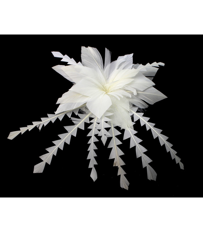 FLEUR DE PLUME DE CANARD