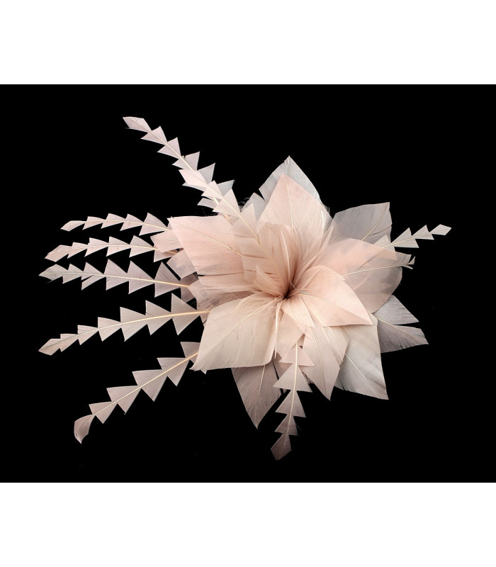 FLEUR DE PLUME DE CANARD