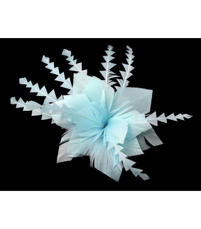 FLEUR DE PLUME DE CANARD