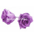ROSE PRÉSERVÉE 6 CMS.