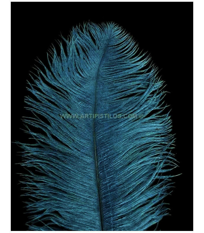 PLUME D´AUTRUCHE PREMIÈRE QUALITÉ 50-55 CMS.
