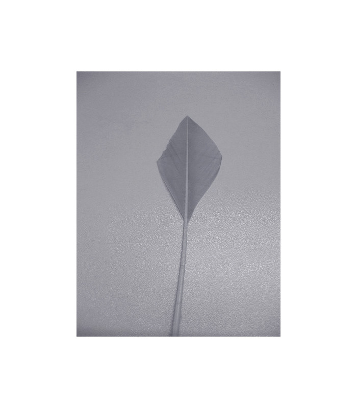 PLUME POINTE DE FLÈCHE 30 CMS.