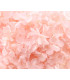 Hortensia Préservé - Fleur mini