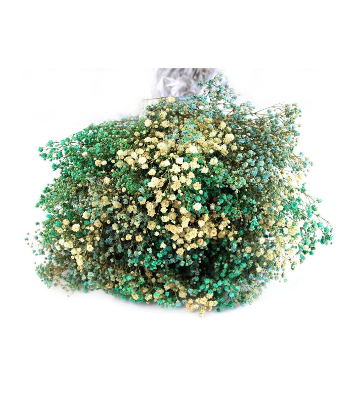 Bouquet de Paniculata Préservée - Mélange de Couleurs