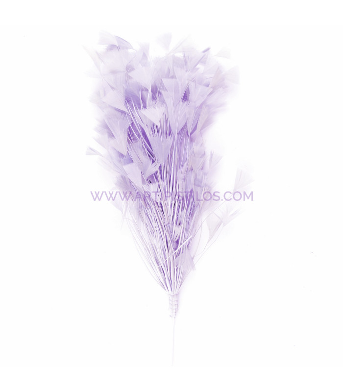 ASSEMBLAGE DE PLUMES DE COQ