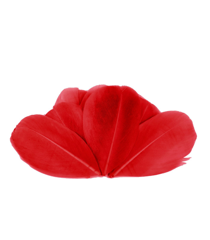 Plumes d'oie 5,5 - 7 cm x 10 pcs