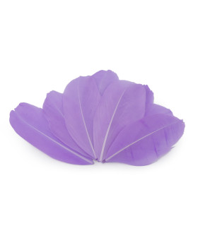 Plumes d'oie 5,5 - 7 cm x 10 pcs